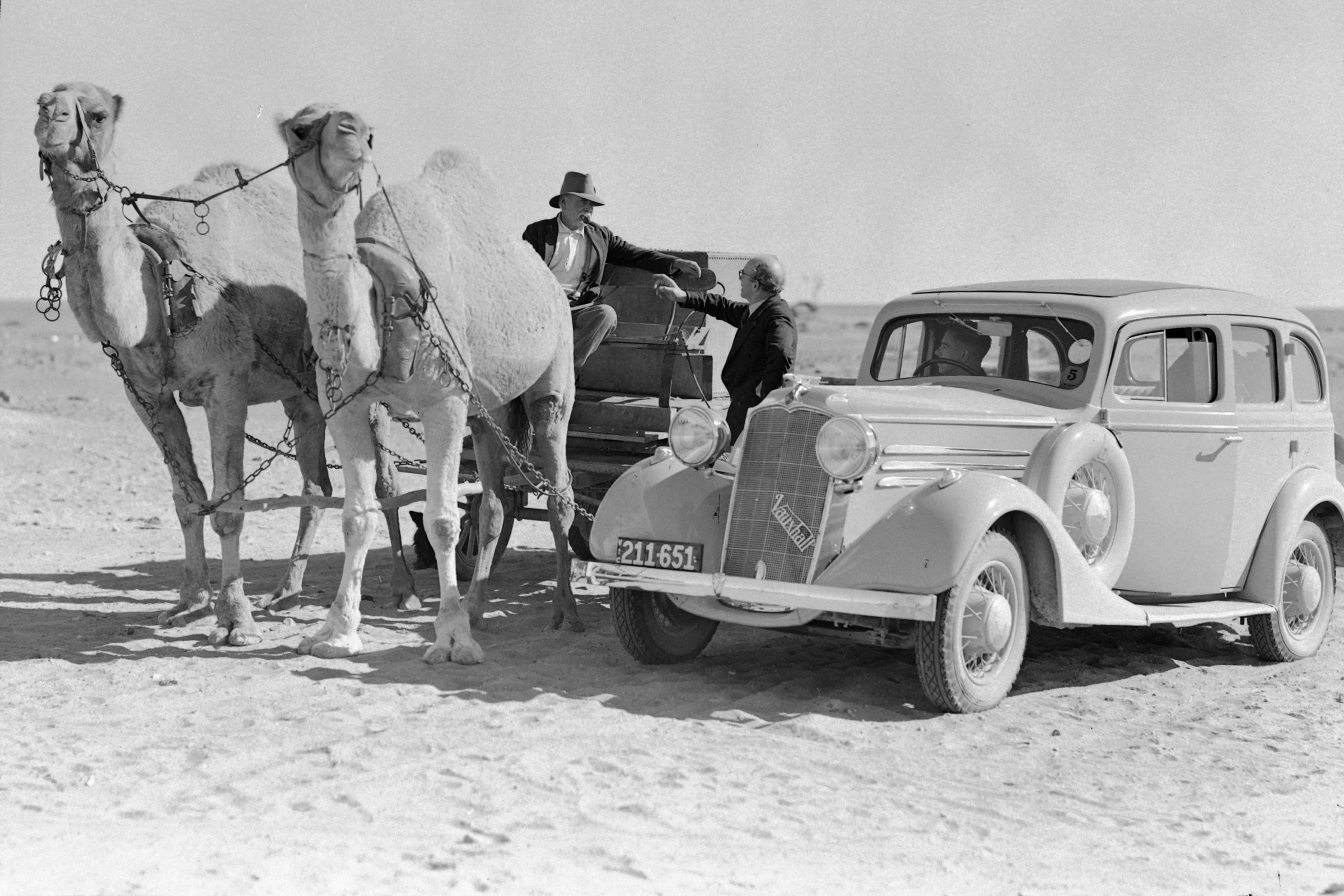 Hurley Image of Camel and Car 